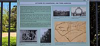 La Plaine de Champagne.jpg