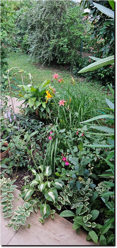 Image008.jpg