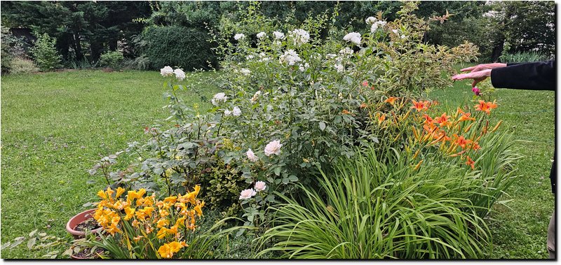 Image009.jpg