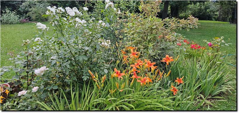 Image010.jpg