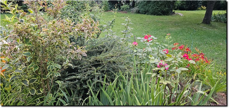 Image012.jpg