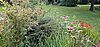 Image012.jpg