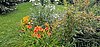 Image013.jpg