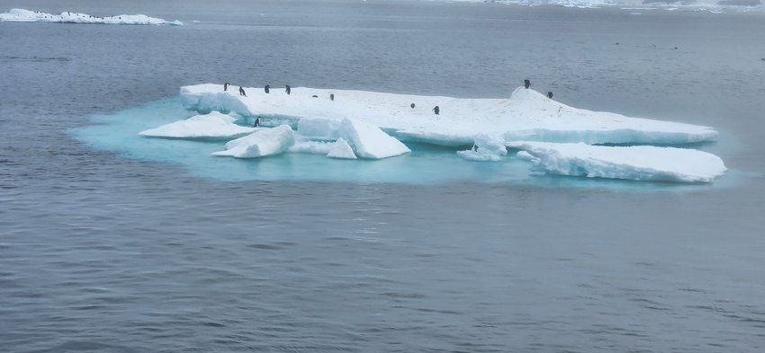 Image013.jpg