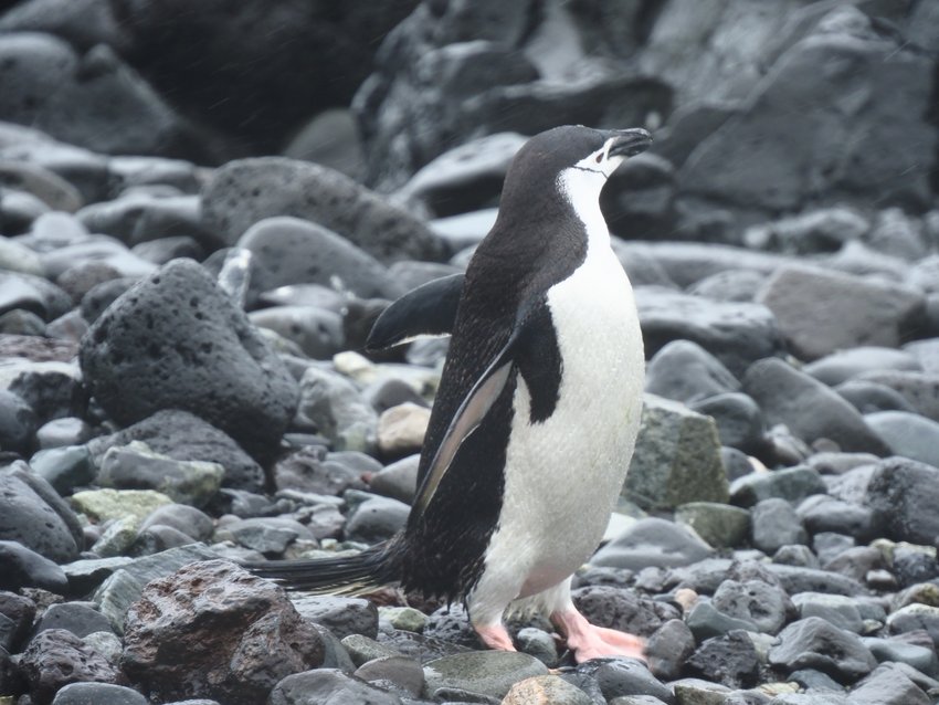 P1273645.JPG