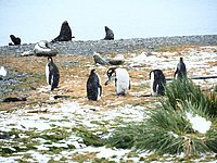 P1200262.JPG