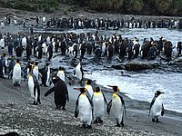 P1210952.JPG