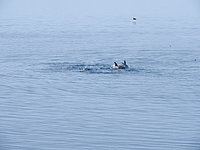 P1252229.JPG