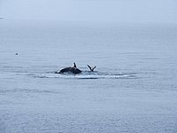 P1252395.JPG
