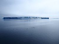 P1252417.JPG