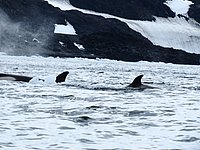 P1263264.JPG