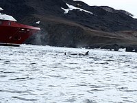 P1263277.JPG