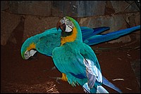 argentine 1023.JPG