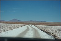 argentine 443.JPG