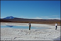 argentine 486 - Copie.JPG