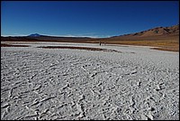 argentine 492.JPG