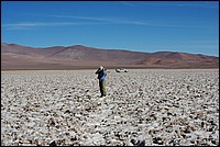 argentine 505.JPG