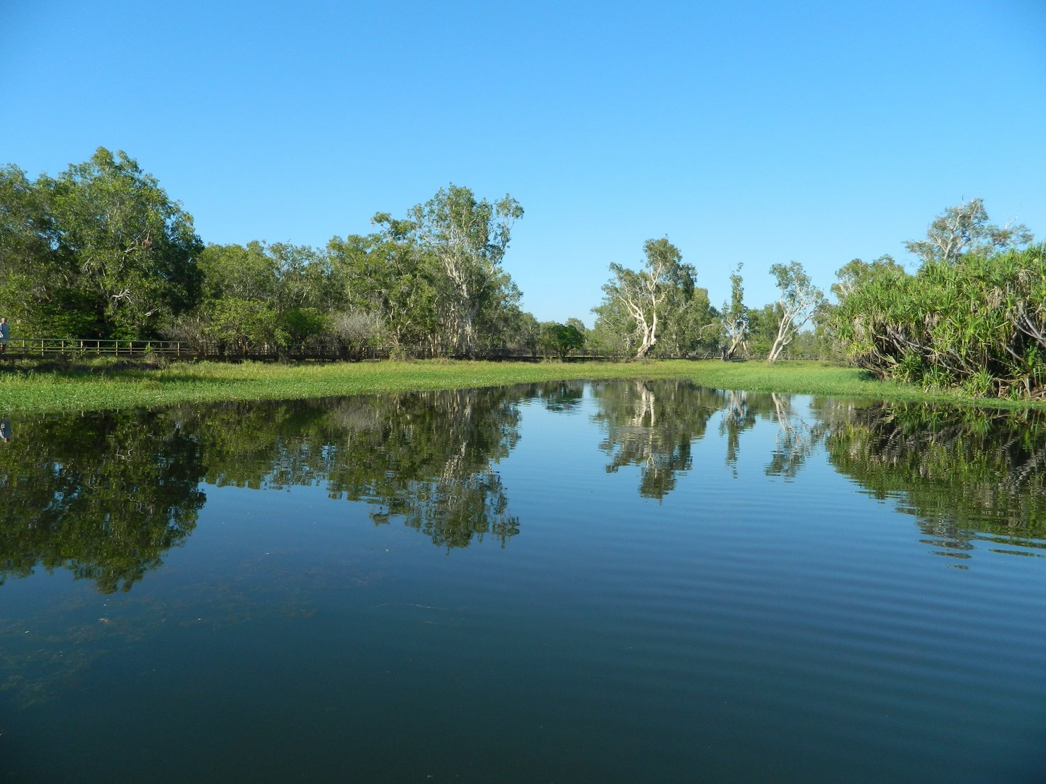 DSCN2071.JPG