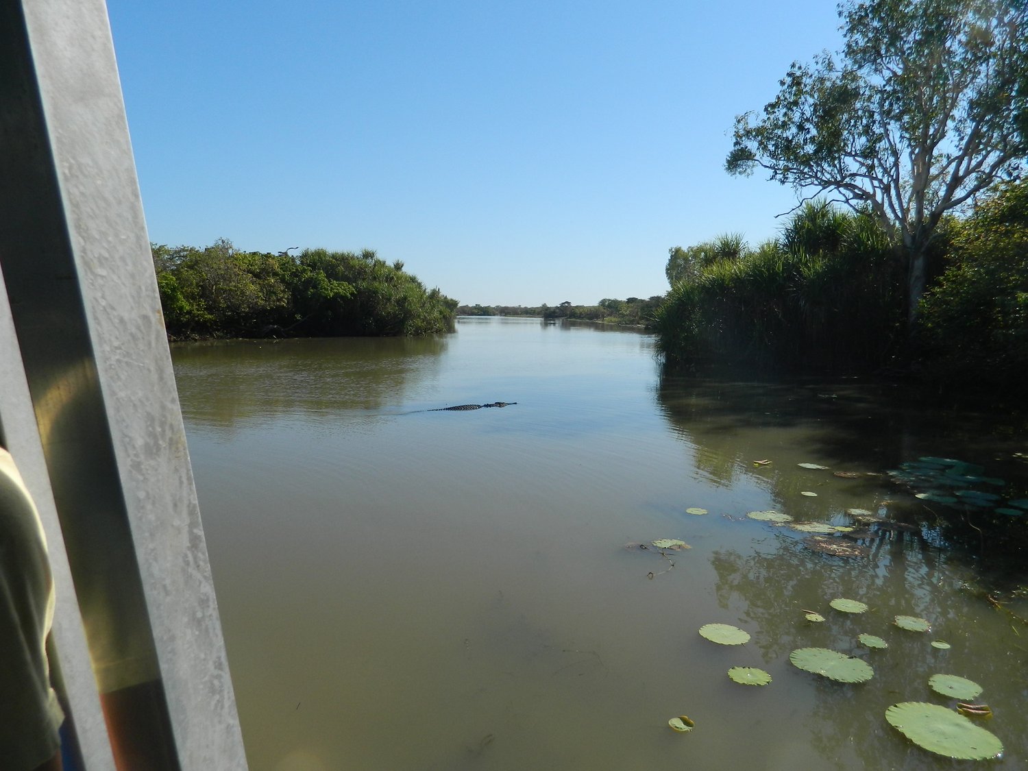 DSCN2078.JPG