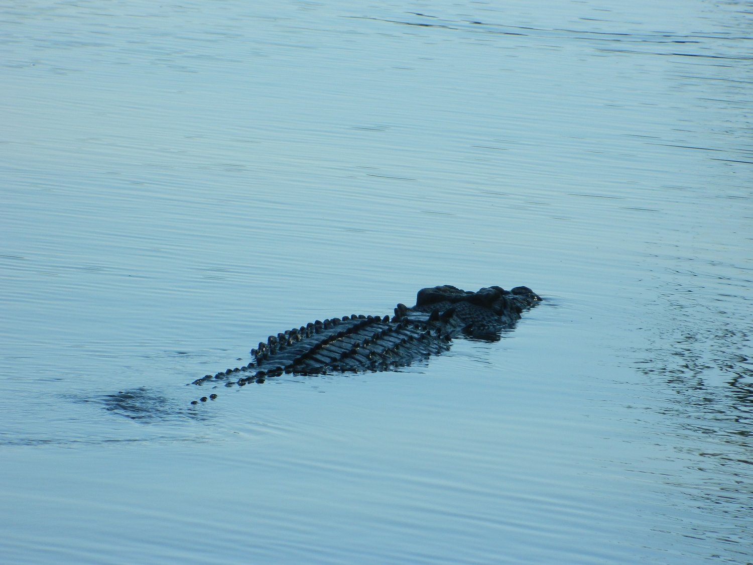 DSCN2080.JPG