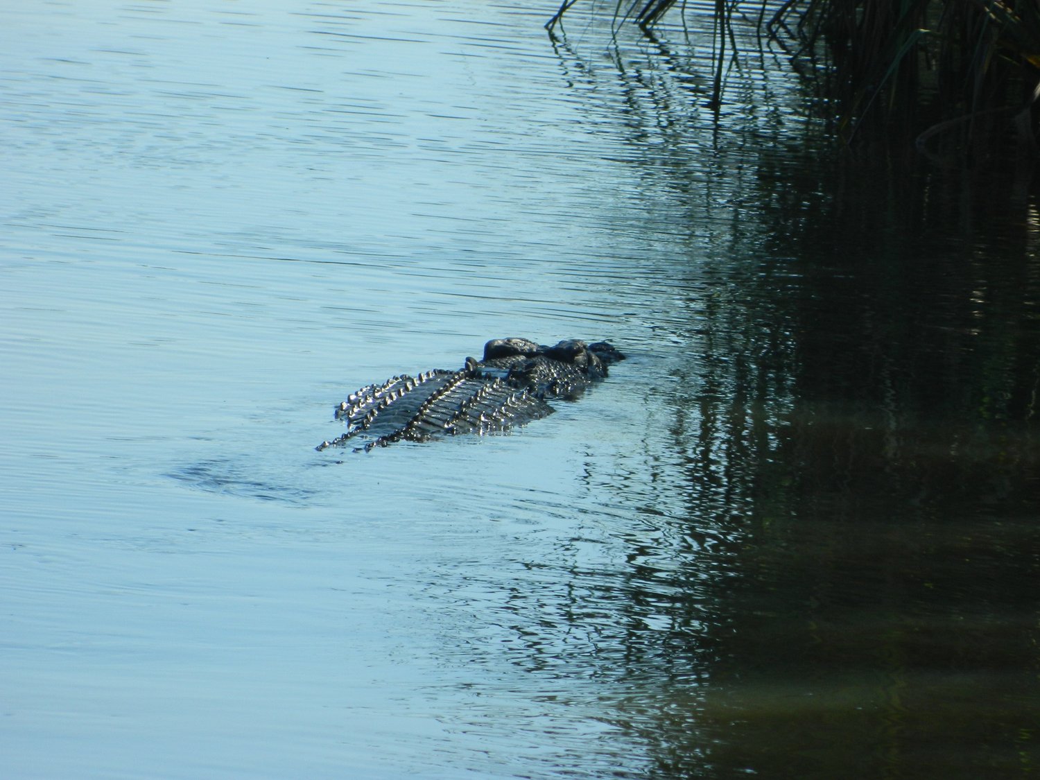 DSCN2082.JPG