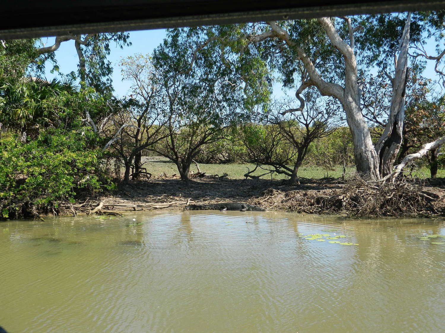 DSCN2091.JPG