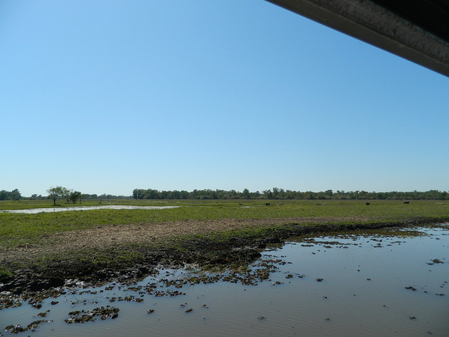 DSCN2095.JPG