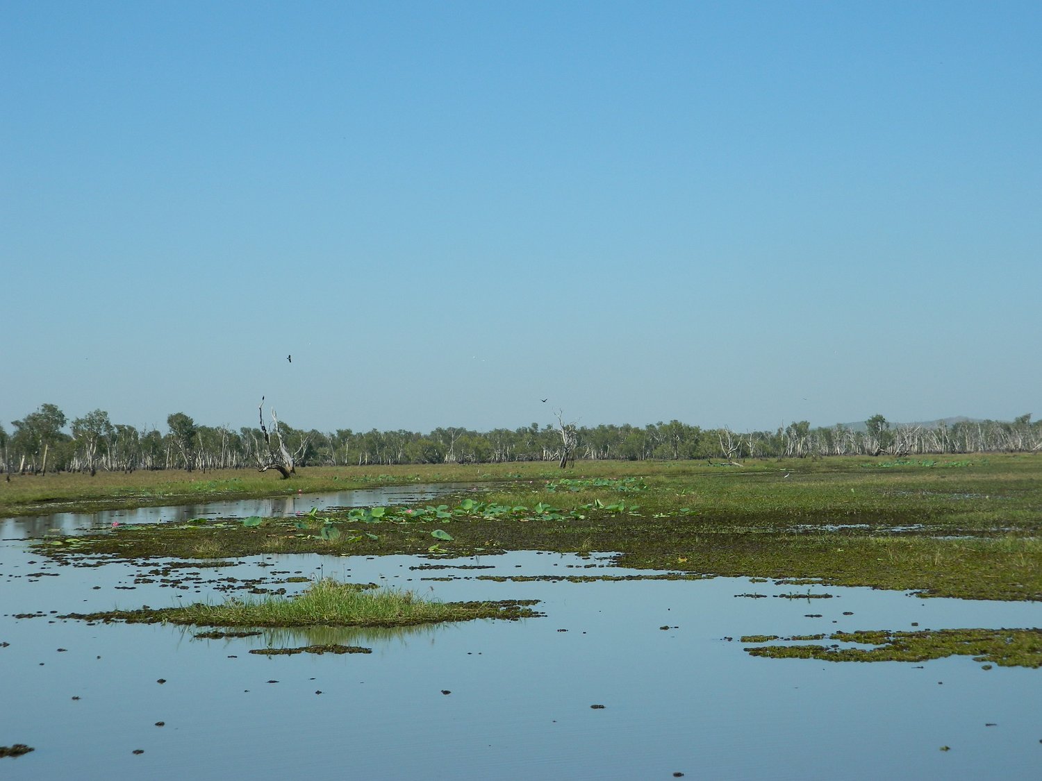 DSCN2101.JPG