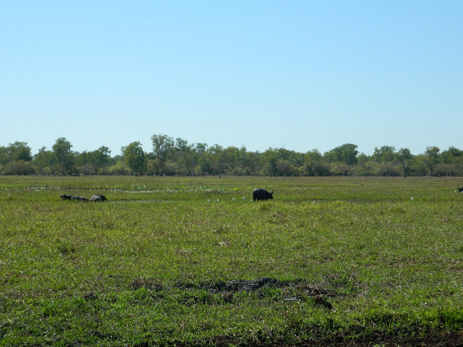 DSCN2102.JPG