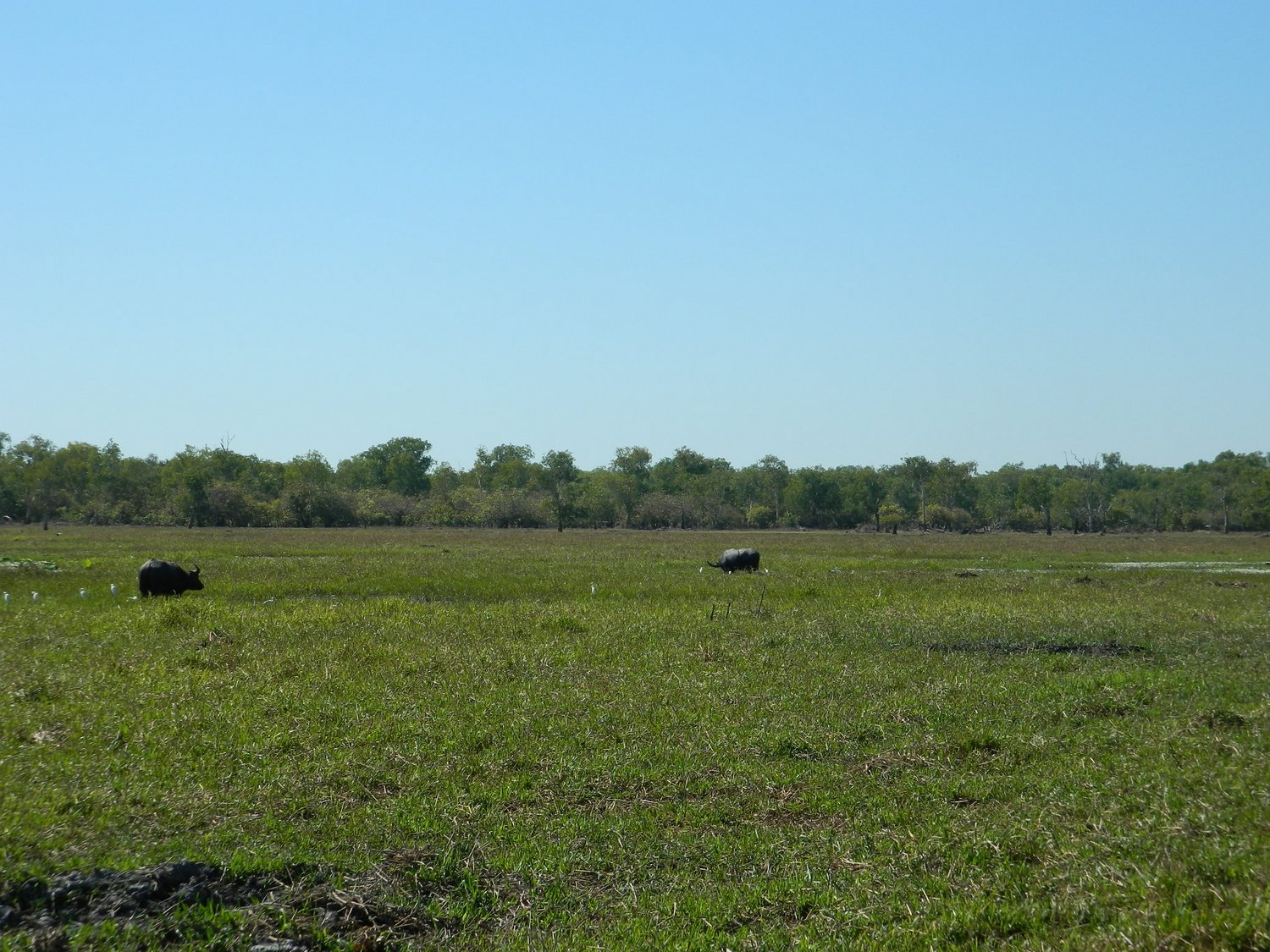DSCN2103.JPG