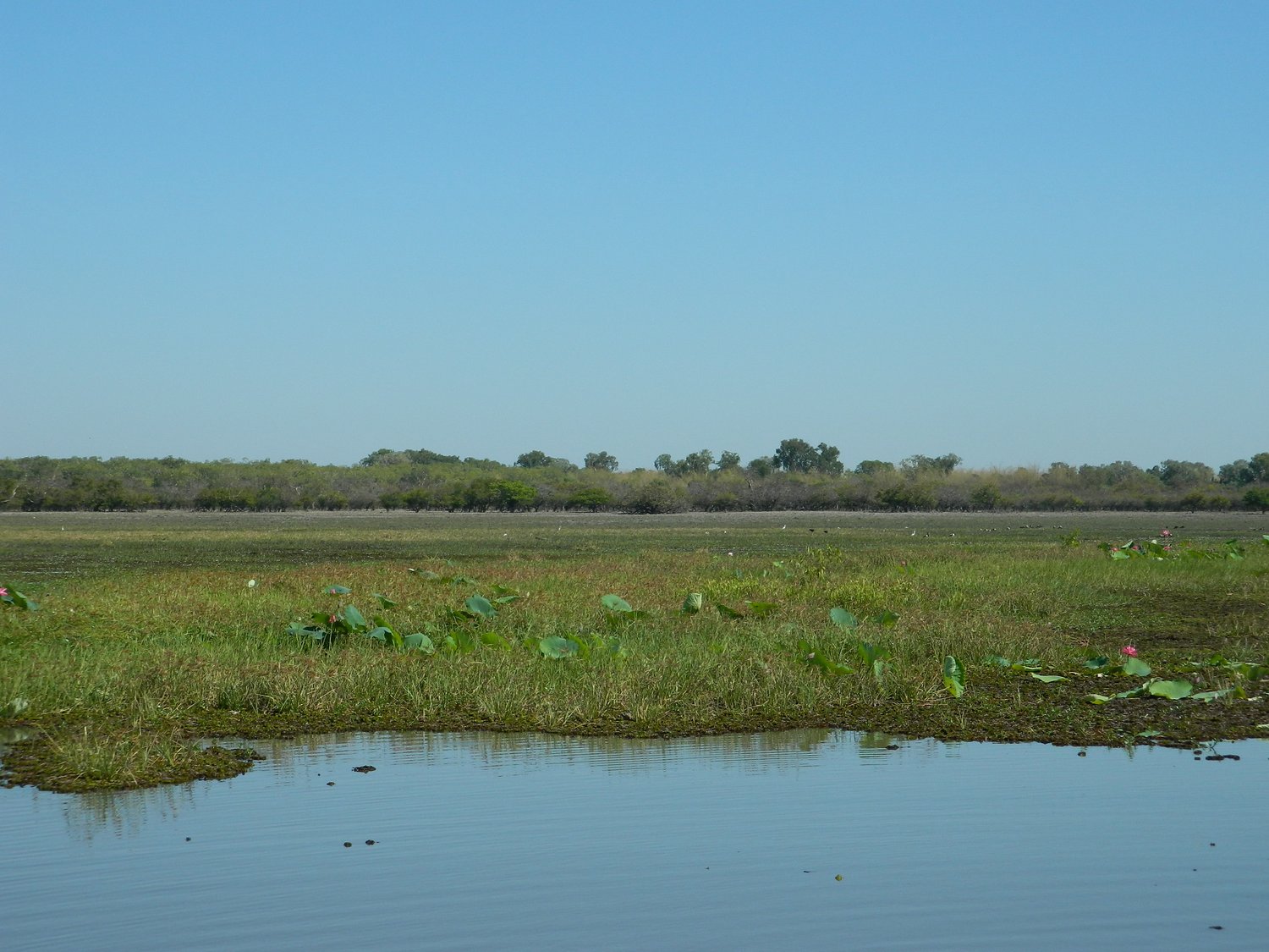 DSCN2105.JPG