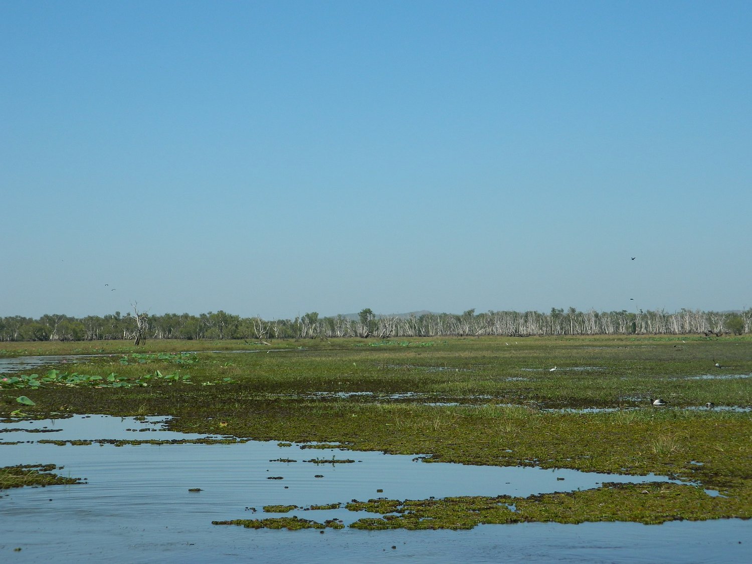 DSCN2107.JPG