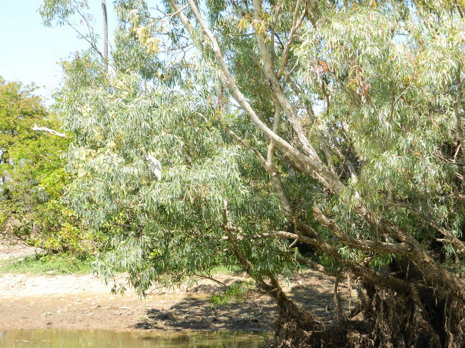 DSCN2108.JPG