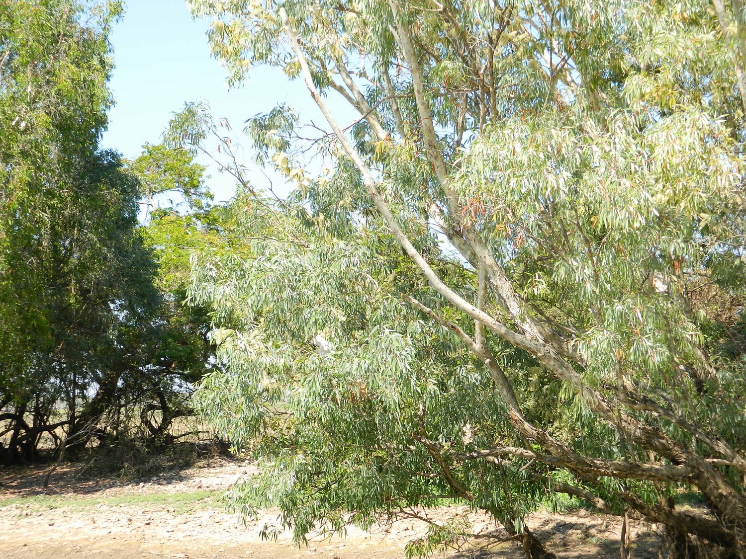 DSCN2109.JPG