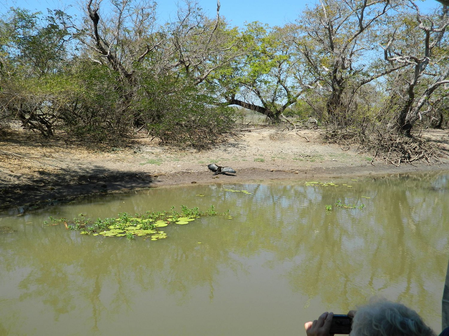 DSCN2113.JPG