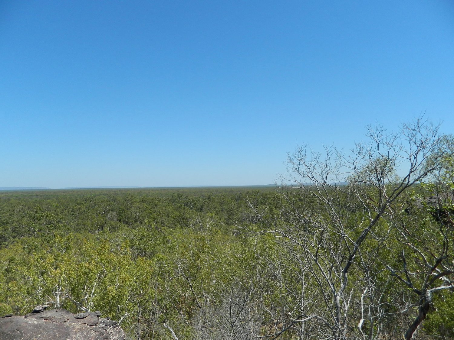 DSCN2122.JPG
