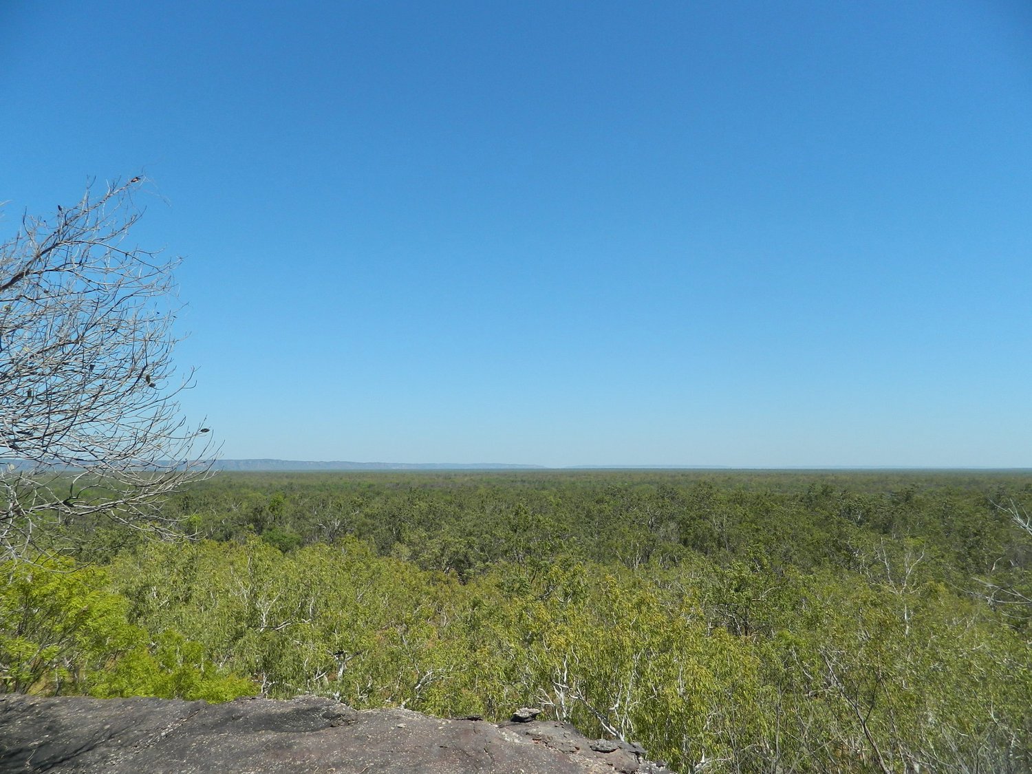 DSCN2123.JPG