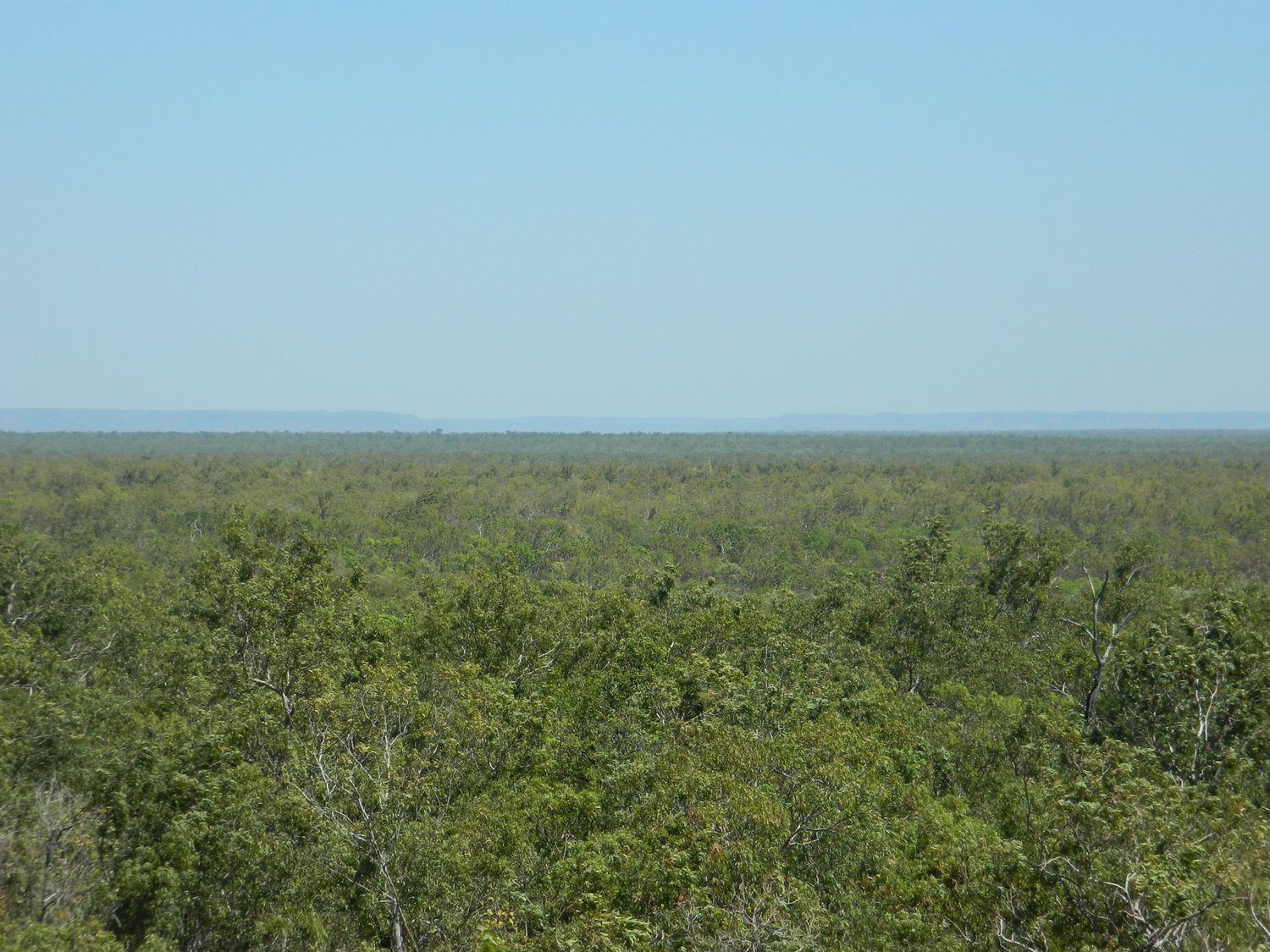 DSCN2124.JPG