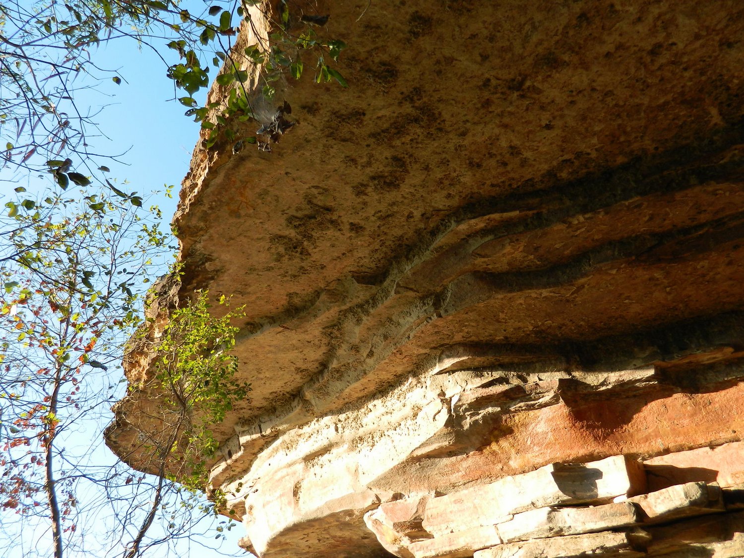 DSCN2132.JPG