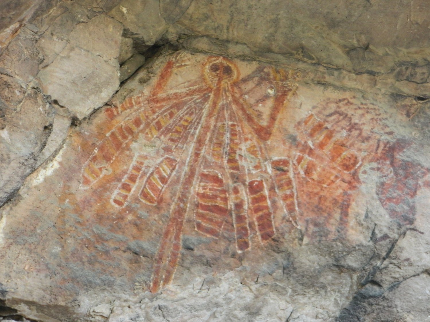 DSCN2205.JPG