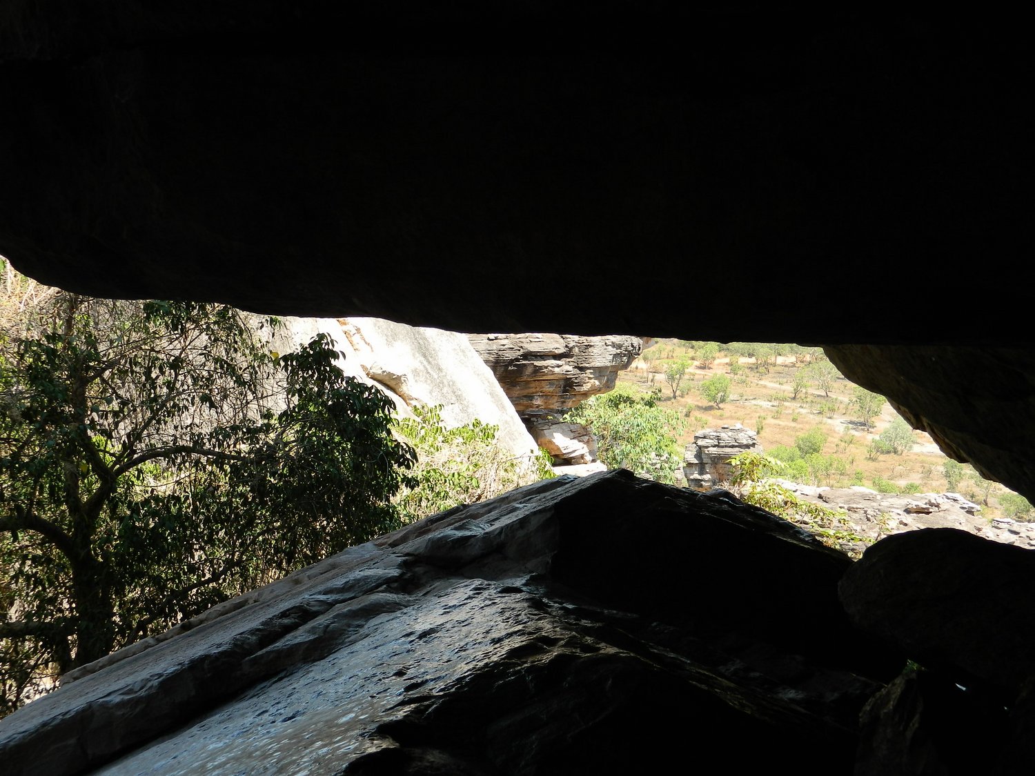DSCN2207.JPG