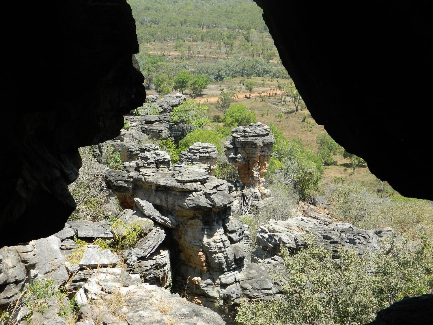 DSCN2216.JPG