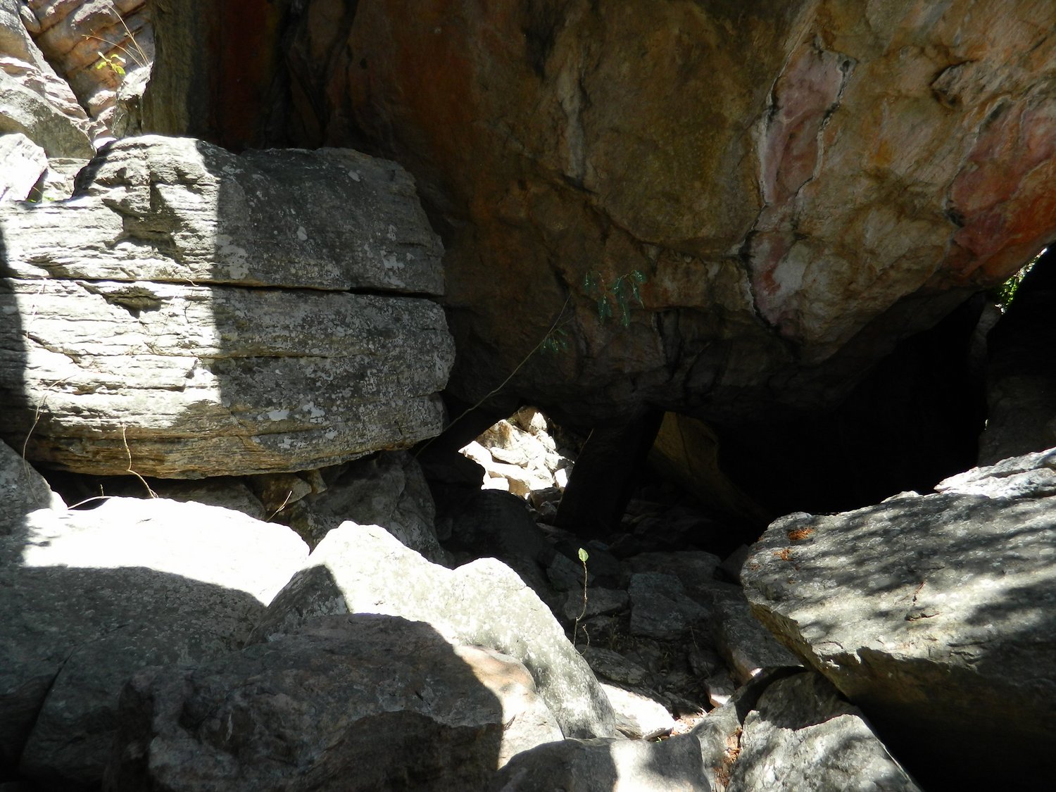 DSCN2218.JPG