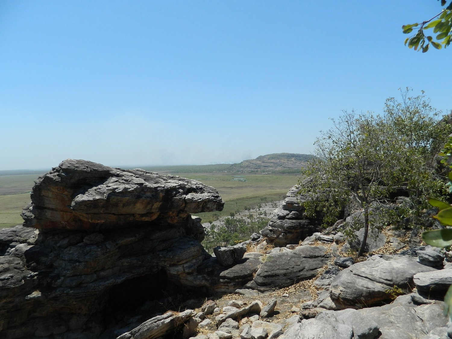 DSCN2219.JPG