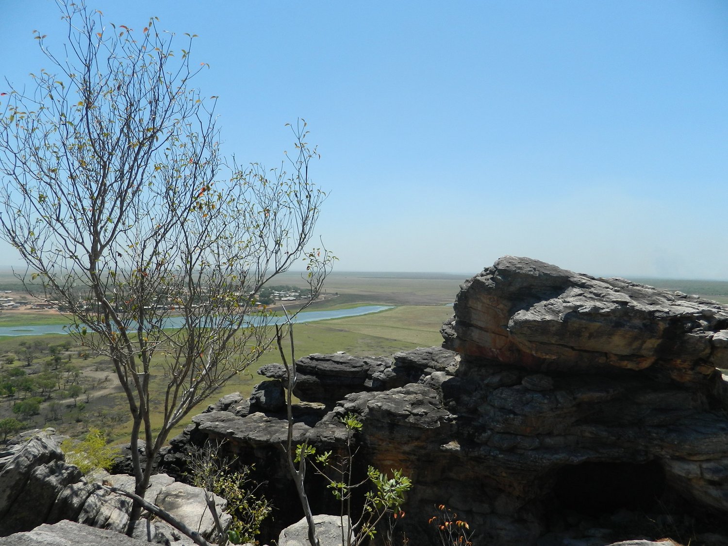 DSCN2220.JPG