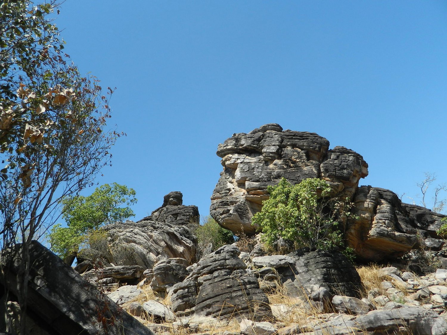 DSCN2241.JPG