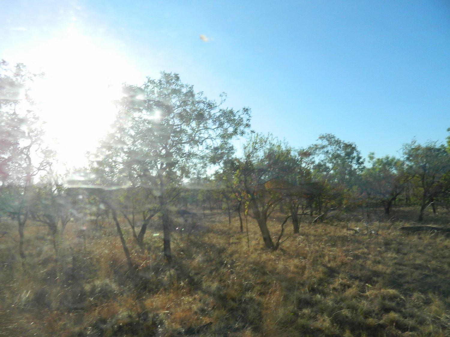 DSCN2257.JPG