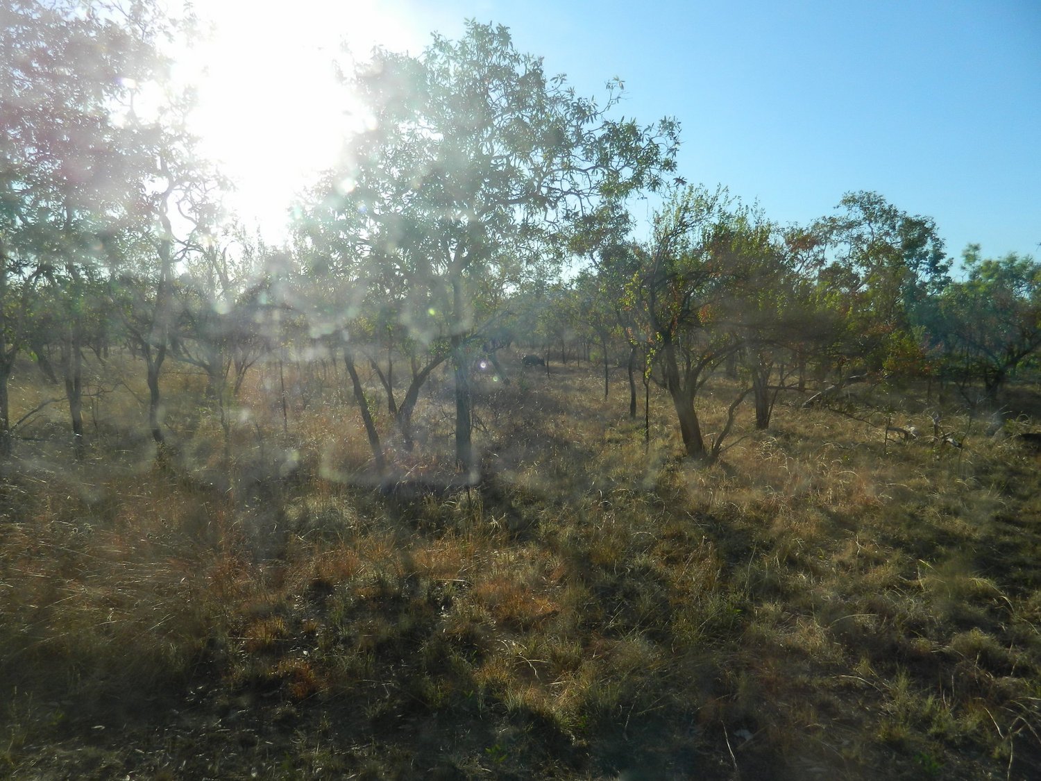 DSCN2258.JPG