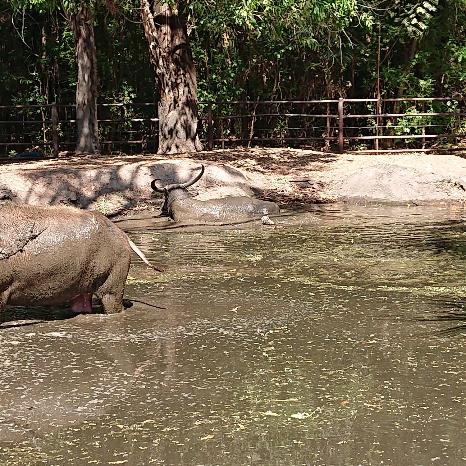 DSC_0044.JPG
