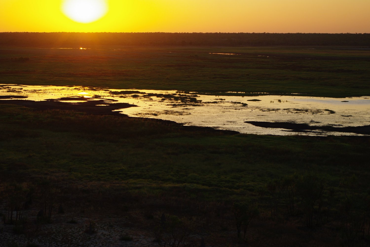 IMGP0914.JPG